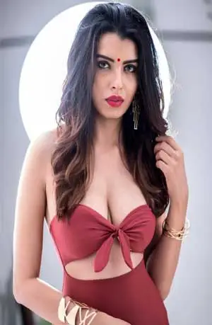 Top Class Delhi escorts